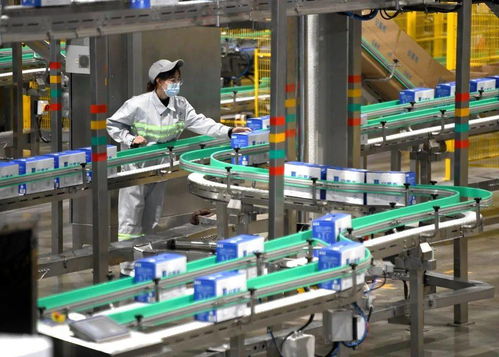 吳忠綠色食品產業(yè)砥礪奮進 再創(chuàng)佳績